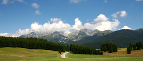 Bosco del Cansiglio Da Col Indes a Pianon