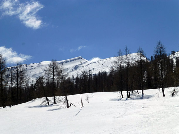 monte penna