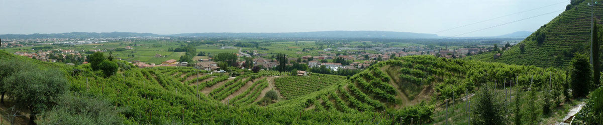 Colli del Prosecco