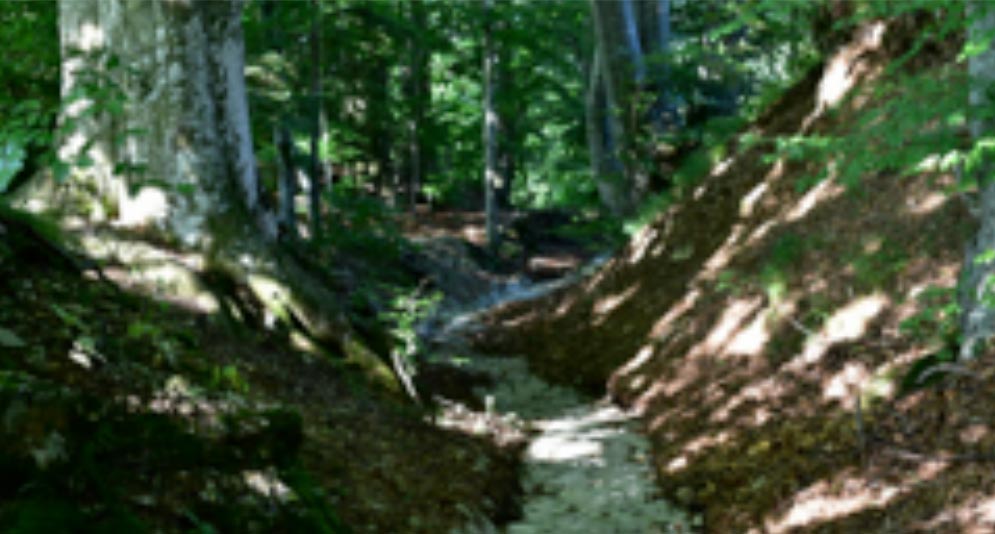 Strada delle “musse” (slitte per trasporto fieno)