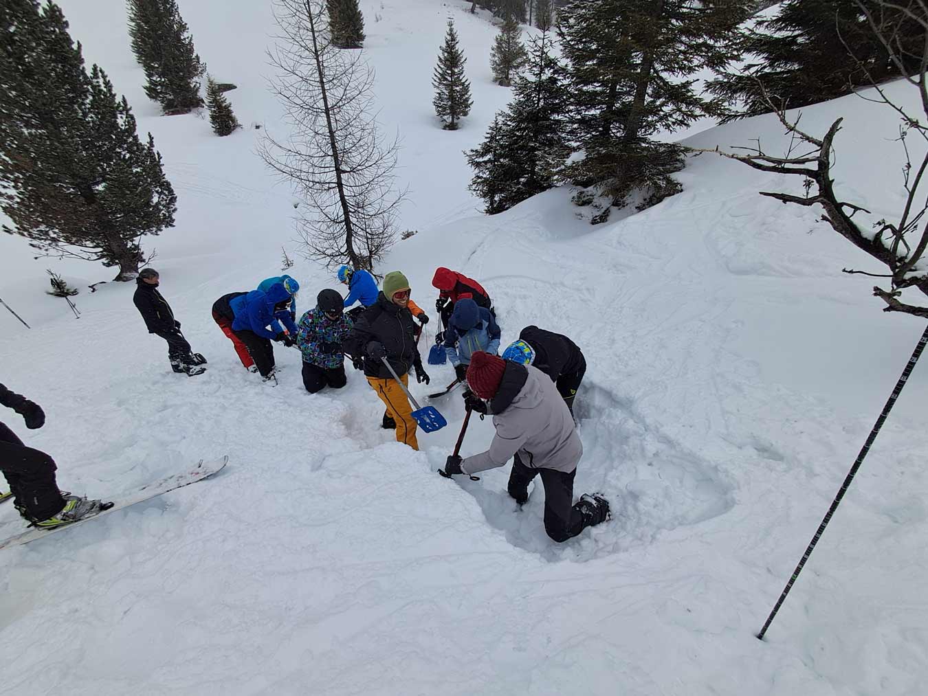 1-3-1-Gruppo-Neveganti-aggiornamento-3