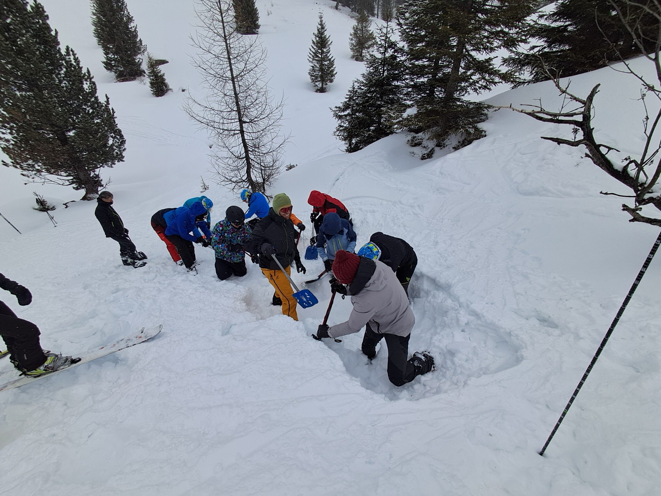 1-3 Gruppo Neveganti-aggiornamento-3