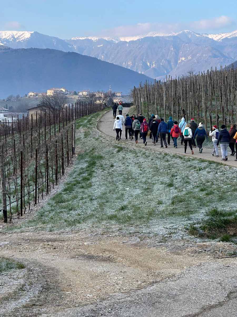 nordic-Walking-immagine-x-sfondo-descrizione